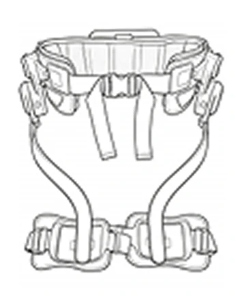 Main Structure